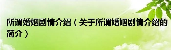 所谓婚姻剧情介绍（关于所谓婚姻剧情介绍的简介）