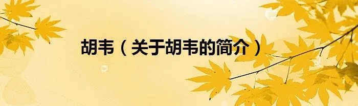 胡韦（关于胡韦的简介）