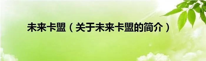 未来卡盟（关于未来卡盟的简介）