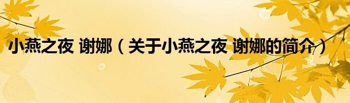 小燕之夜 谢娜（关于小燕之夜 谢娜的简介）