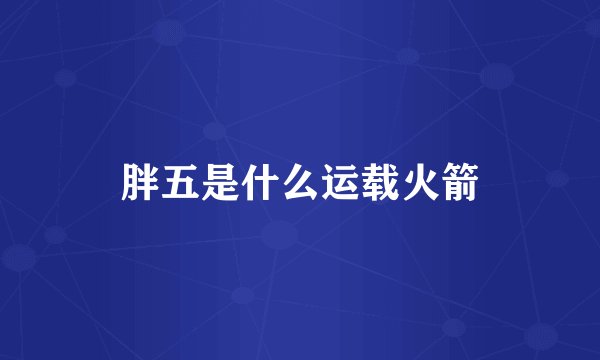 胖五是什么运载火箭