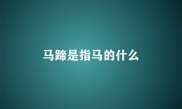 马蹄是指马的什么