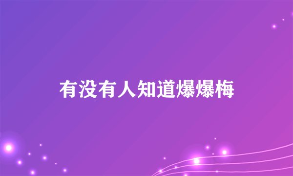 有没有人知道爆爆梅