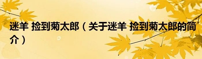 迷羊 捡到菊太郎（关于迷羊 捡到菊太郎的简介）