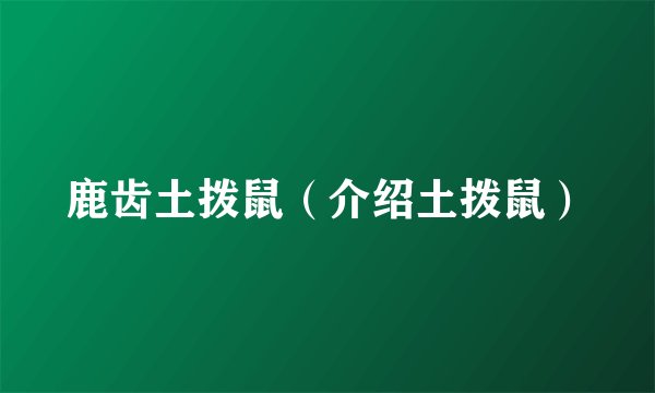 鹿齿土拨鼠（介绍土拨鼠）