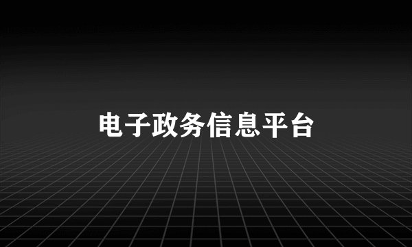 电子政务信息平台