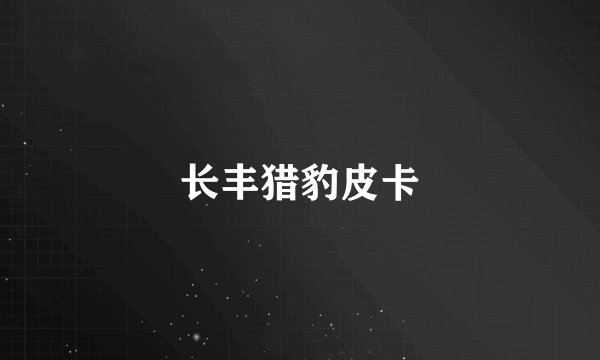长丰猎豹皮卡