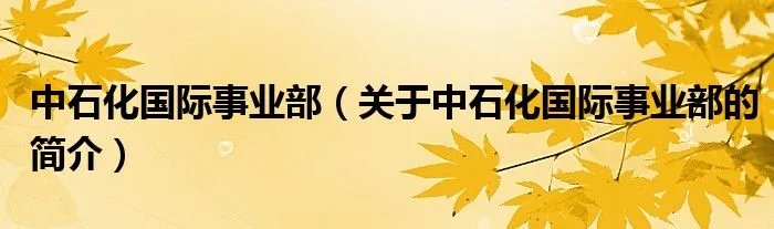 中石化国际事业部（关于中石化国际事业部的简介）