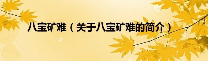 八宝矿难（关于八宝矿难的简介）