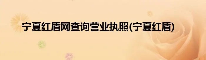 宁夏红盾网查询营业执照(宁夏红盾)