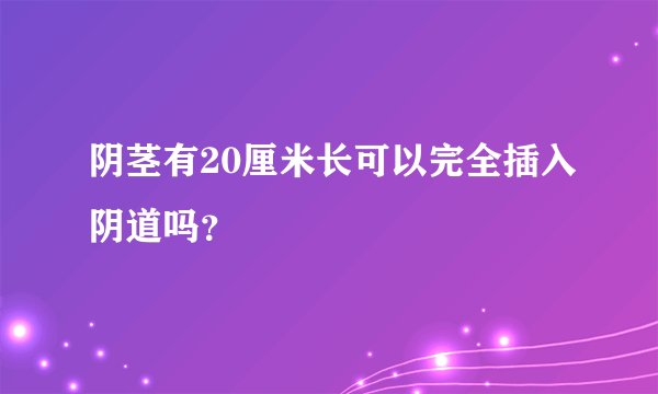 阴茎有20厘米长可以完全插入阴道吗？
