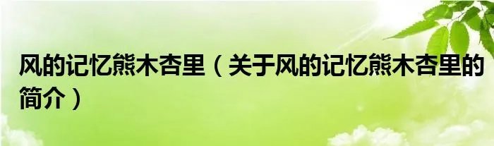 风的记忆熊木杏里（关于风的记忆熊木杏里的简介）