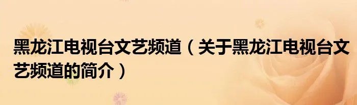 黑龙江电视台文艺频道（关于黑龙江电视台文艺频道的简介）