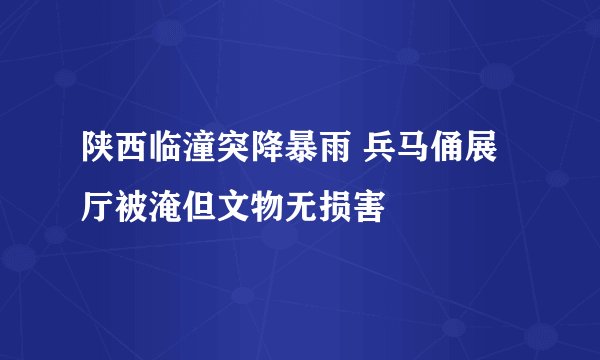 陕西临潼突降暴雨 兵马俑展厅被淹但文物无损害