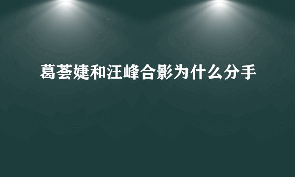 葛荟婕和汪峰合影为什么分手