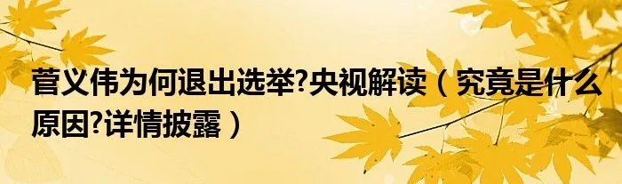 菅义伟为何退出选举?央视解读（究竟是什么原因?详情披露）