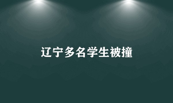 辽宁多名学生被撞