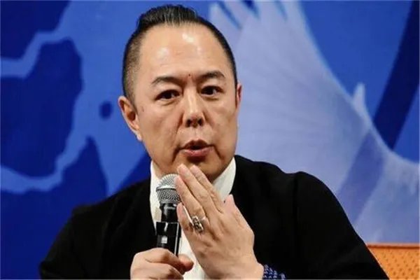 中国明星外国国籍大全，拥有外国国籍就不属于中国人