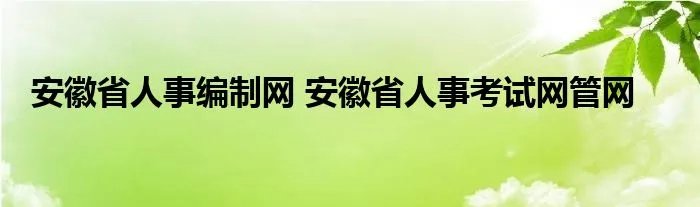 安徽省人事编制网 安徽省人事考试网管网