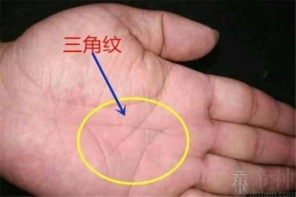 马云手相三角纹放大照