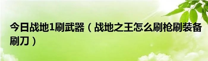 今日战地1刷武器（战地之王怎么刷枪刷装备刷刀）