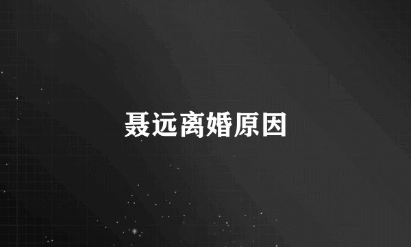 聂远离婚原因