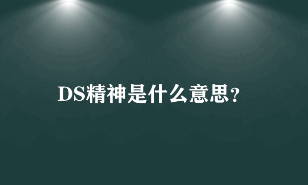 DS精神是什么意思？