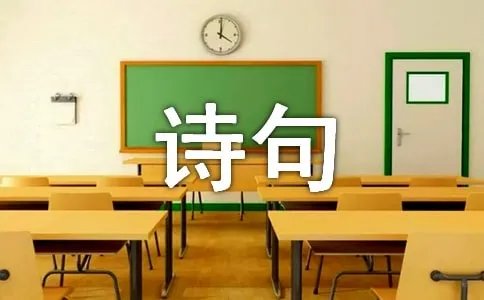 表达人间真情的诗句