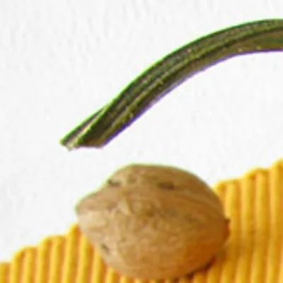 幼儿园保健知识：孩子的保健