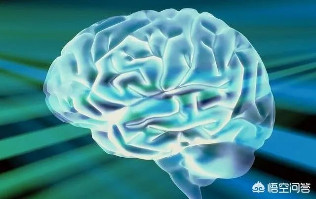 科学家成功复活死亡猪脑,意味着什么?