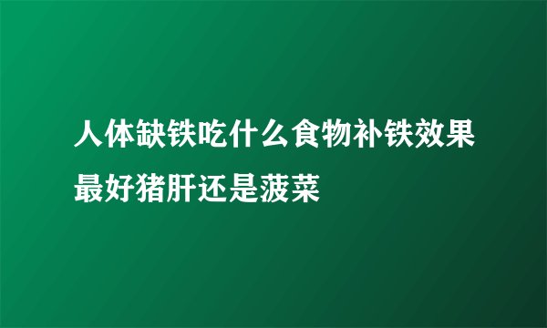 人体缺铁吃什么食物补铁效果最好猪肝还是菠菜