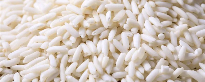 糯米一般泡多久 糯米泡多久可以煮