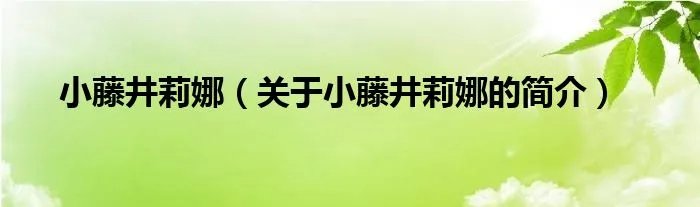 小藤井莉娜（关于小藤井莉娜的简介）