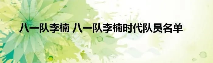 八一队李楠 八一队李楠时代队员名单