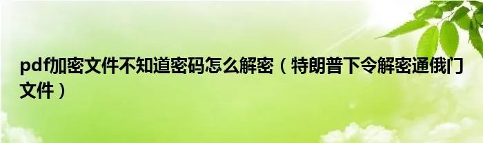 pdf加密文件不知道密码怎么解密（特朗普下令解密通俄门文件）