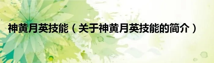神黄月英技能（关于神黄月英技能的简介）