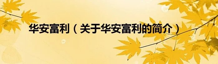 华安富利（关于华安富利的简介）