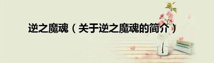 逆之魔魂（关于逆之魔魂的简介）