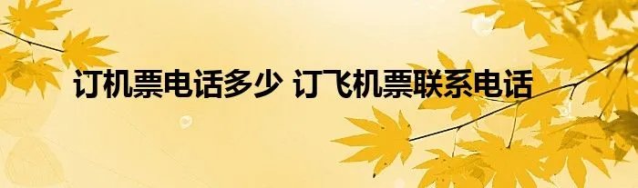 订机票电话多少 订飞机票联系电话