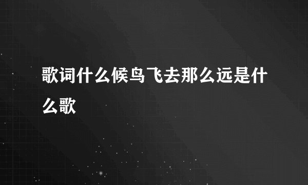 歌词什么候鸟飞去那么远是什么歌