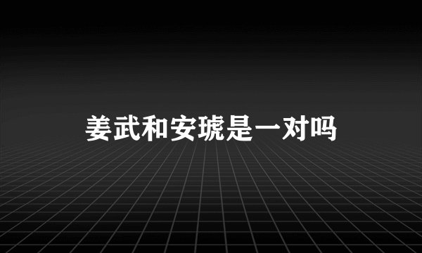 姜武和安琥是一对吗