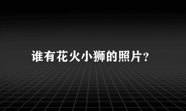 谁有花火小狮的照片？