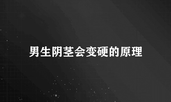 男生阴茎会变硬的原理
