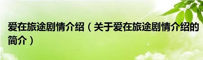 爱在旅途剧情介绍（关于爱在旅途剧情介绍的简介）
