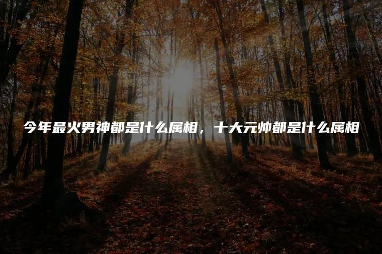 今年最火男神都是什么属相，十大元帅都是什么属相