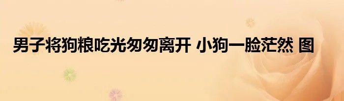 男子将狗粮吃光匆匆离开 小狗一脸茫然 图