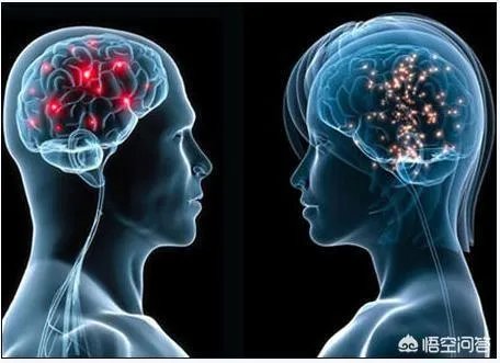 科学家成功复活死亡猪脑,意味着什么?