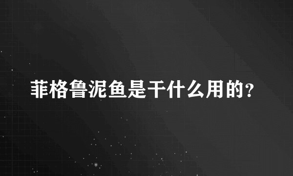 菲格鲁泥鱼是干什么用的？