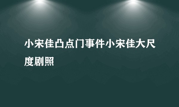 小宋佳凸点门事件小宋佳大尺度剧照