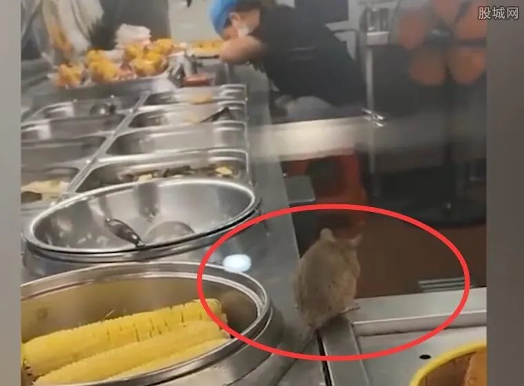 官方回应餐厅里老鼠在包子旁理毛 还在食物旁边乱窜